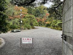 そして翌日。この日は予報では雨で予報的中。
結構な雨が降っていました。修学院離宮は以前から行きたかったのですが、なんとこちらは２キロくらい歩くとのこと。広いのはわかっておりましたが・・・。ちなみに修学院離宮、バスで京都駅から行くとバス停からも上り坂でした。そこですでに息切れ。

修学院離宮の元々修学院という寺が建立されたのば始まりで、桂離宮に遅れること３０余年、後水尾上皇によって造営されたものだそう。
