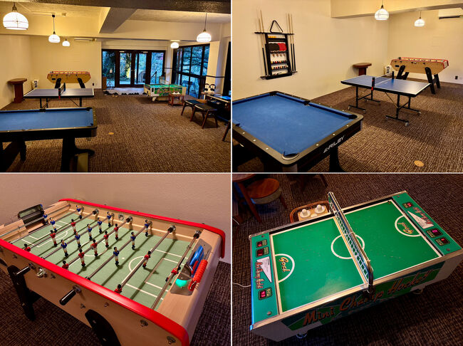 【 Amusement Room @Ochiairo 】<br /><br />ビリヤード台，卓球台，テーブルサッカー（フーズボール），エアホッケーなどを楽しめる「娯楽室」。ラウンジの地下にあります。