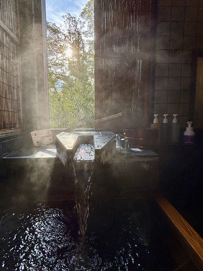 窓を開けることができます。朝日を浴びながらの温泉内湯も乙なものです。