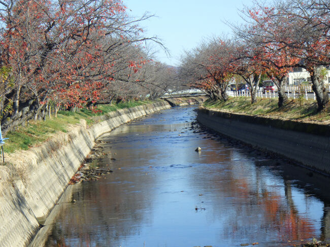 いつものように五条川沿いから合瀬川を走り、犬山に<br />