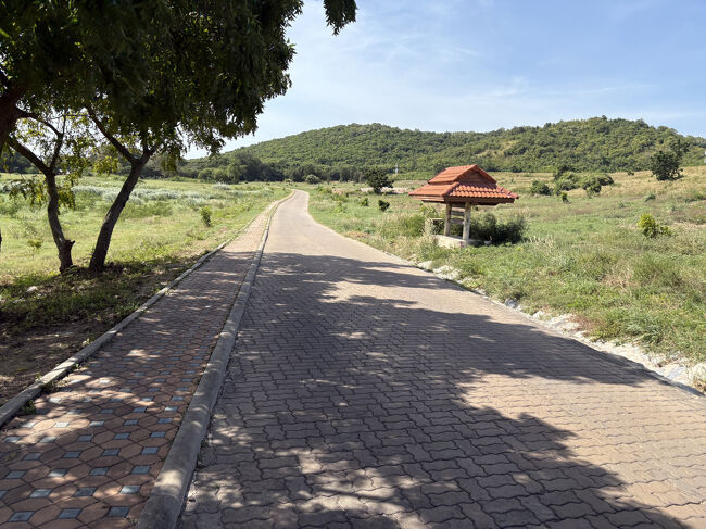 島を右回りに走ります。<br />最初はのどかな風景<br />ノーヘルでバイク<br />日本では体験できません。<br />めっちゃ気持ちいい