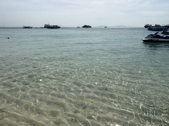 透明度が高いです。