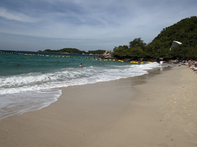 まあ、あまり期待していなかったのでこれくらいで満足しておきましょう。