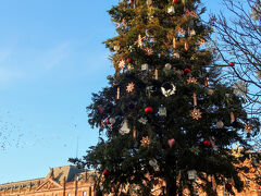 Place Kléber（クレベール広場）

高さ30mの見事なクリスマスツリー。ストラスブールは、クリスマスツリー発祥の地としても知られています。

古くからツリーの文化があり、毎年多くの観光客を魅了しています。

ライトアップ後が本番なので、また後ほど戻ってくることに。
