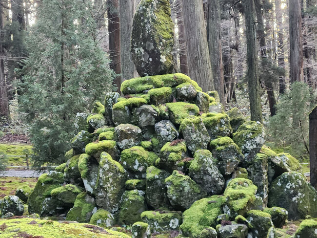 ６月ごろが苔が綺麗だそうです。<br />