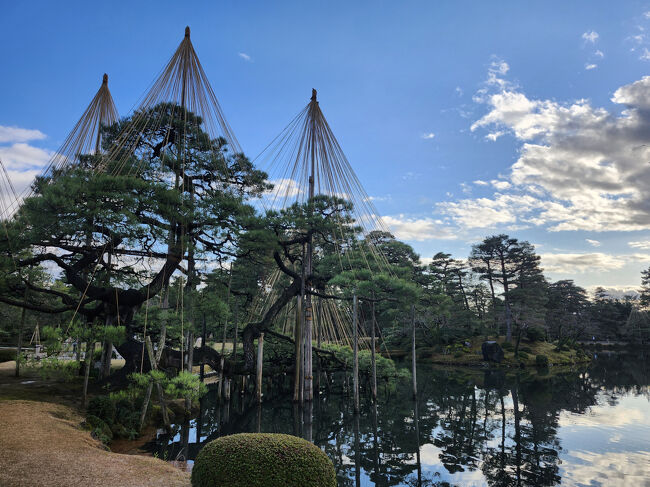 その後、兼六園に。<br />その時、びっくりしたのが、６５歳以上で証明するものがあれば、無料で入れたことです。割引かと思いましたが、無料とは太っ腹ですね。
