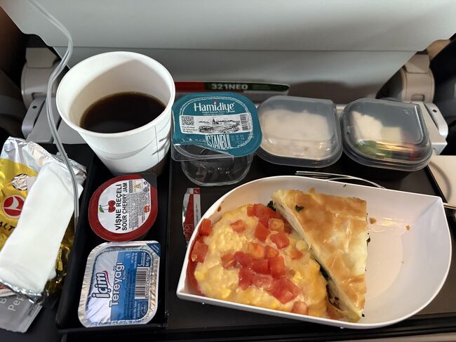 イスタンブール→ストックホルムは3時間半のフライトですが、機内食をいただきました。