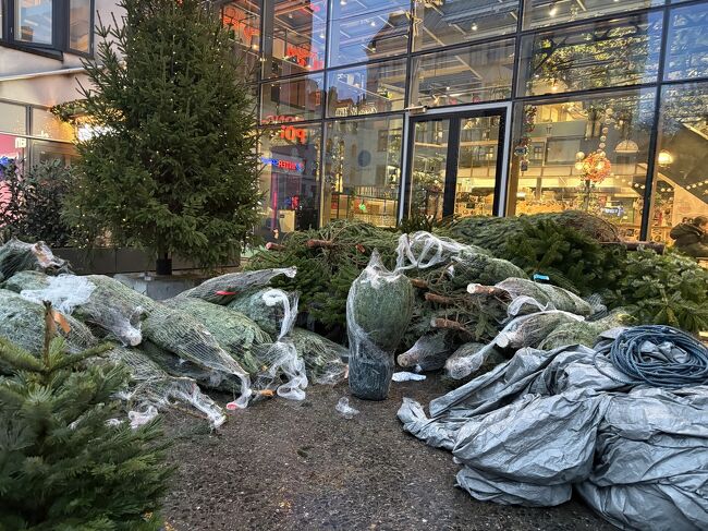 道端でクリスマスツリーが売られているのはアメリカと同じ。