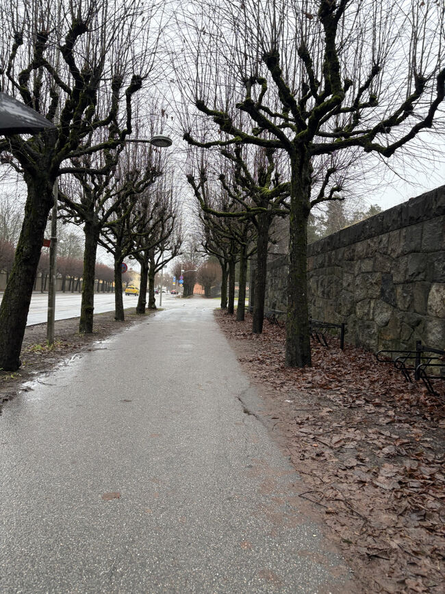 世界文化遺産の森の墓地へ。後世に影響を与えたランドスケープデザインが評価されたとのこと。<br />前回帰国後に会社の先輩に教えてもらい、ストックホルムを再訪する機会があれば行こうと決めてました。ストックホルム中央駅から電車で20分くらい。<br />しかし冬に行くところではなかったかも笑