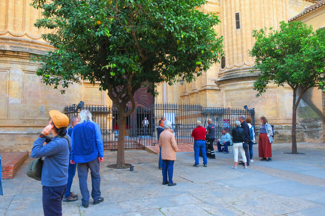 8:30前になったので入口に戻ってきました。クリスマスの準備でしょうか、スタッフがオレンジの木に電飾を付けていました。時間になったのですが状況変わらずで、門の前では観光客がプレッシャーをかけていましたが(笑)、この後すぐにオープンしました。