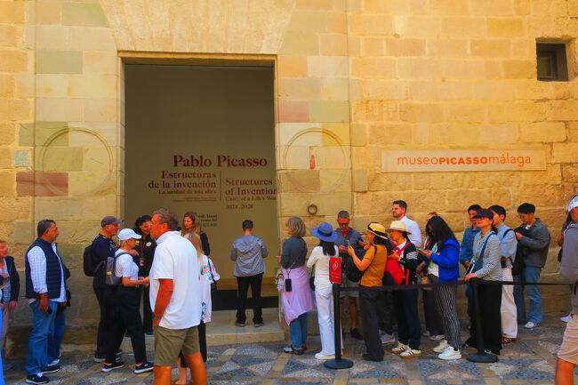 15時のチケットを持っていましたが、20分前に行ってみました。行列ですね… とりあえず並んでみます。<br /><br />コンビニのビニール袋を持った人がスタッフに何か言われてて、向かいのお土産屋さんでバッグを買ってそれにビニール袋を入れていました。もしかして、ビニール袋は持ち込めない？とかでしょうか。。。<br />私はマイボトルを持っていたのですが荷物チェックで「これは預けてね」と言われました。クロークでマイボトルを出すと「名前を書いて」と言われました。「番号札とかではなく名前なの？」と一瞬戸惑いましたが、紙に下の名前だけ書くと、シールになっていたようで、マイボトルに貼り付けていました。<br />帰りは「荷物をピックアップしたいです。名前は●●です」と言ったら「あ～水筒ね」と言われました。<br />リュックなど大きい荷物は番号札がもらえたようでした。<br /><br />チケットは「GetYourGuide」から購入してたのですが、QRコードを見せるだけで、パスポートの確認は無しです。