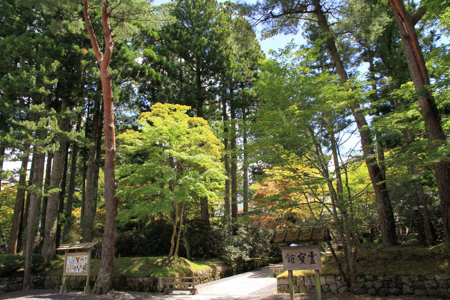 道の駅かつらぎ西から1時間弱で高野山の霊宝館に到着です。<br />いつもいつもここ霊宝館の無料駐車場を利用して、高野山のおまいりをしています。