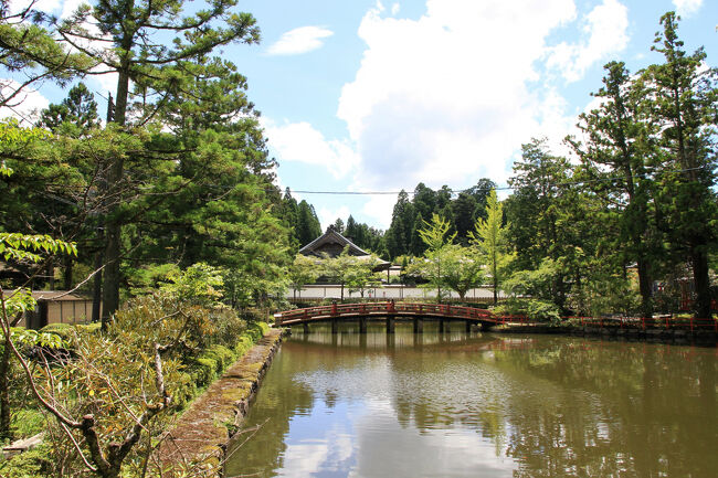 霊宝館から道路を渡って壇上伽藍へ向かいます。<br />蓮池からの眺め。