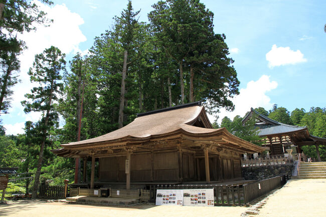 不動堂<br />壇上伽藍の最初に出会うのは不動堂（国宝）です。奥に金堂が見えてます。<br />壇上伽藍の境内の蓮池畔に立つ、高野山内に現存する建物の中で最古の堂。建久9年(1198)に行勝上人が一心院谷に創建したものを明治時代にこの地に移築した。勾配のゆるい檜皮葺きの屋根を持つ現在の建物は鎌倉時代後期のものといわれ、国宝に指定されています。