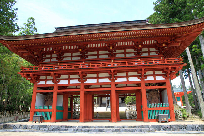 中門<br />天保14年（1843年）に焼失後172年ぶりの再建で、高野山開創1200年記念事業として、2015年（平成27年）4月2日落慶、旧・中門には、持国天・多聞天（江戸時代末期の作）が安置されていたが難をのがれ、根本大塔内に保管されていたものを、仏師松本明慶が修理をし、さらに、増長天・広目天像も新造して四天王像を安置する四天門として甦りました。<br />四天王とは仏国土の四方を護る天であり、東西南北を担当しています。<br />東方-持国天<br />南方-増長天<br />西方-広目天<br />北方-多聞天