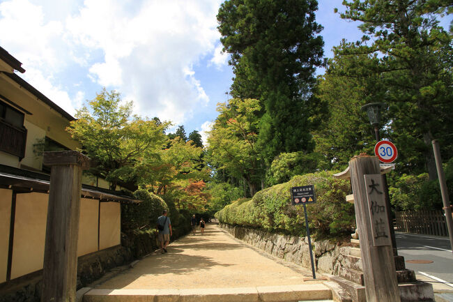 大伽藍への参道です。<br />ここから大伽藍へ向かうのが本当なんでしょうが、いつもここから出てきてしまいます。<br />