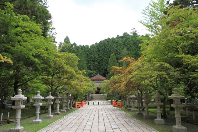 石灯籠や墓標が立ち並ぶ参道を通り、弘法大師御廟の拝殿にあたる燈籠堂にお参りしてから英霊殿に来ました。<br />燈籠堂のある場所は神域となっているため写真撮影は禁止されています。<br />高野山では一番の紅葉スポットだと思います。<br />