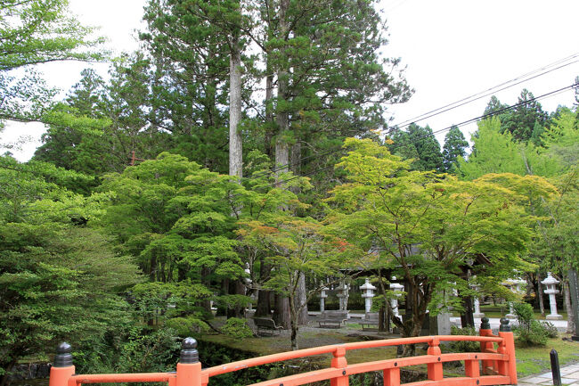 英霊殿前<br />今年もきれいな紅葉が見れますように祈念しました。
