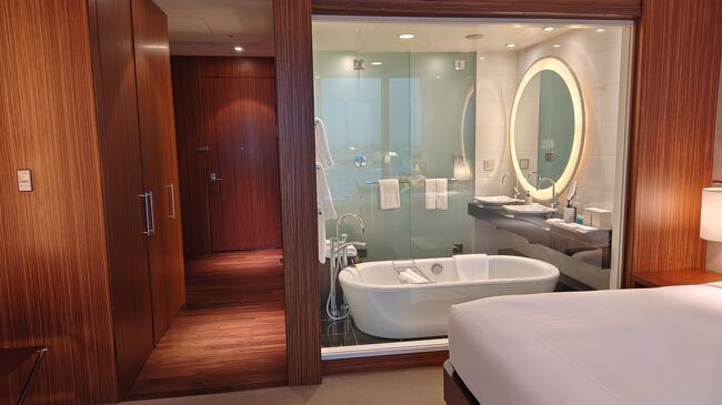 部屋から見たウエットルームです。<br />手前にバスタブ、奥のガラス扉右側がシャワールーム、左側がトイレです。