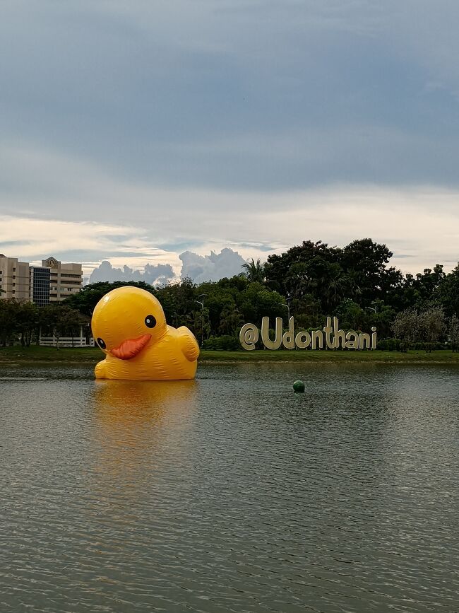 アヒルの空気が抜けて傾いていました