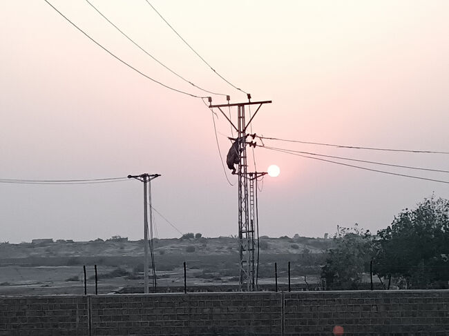 電柱に逆さ吊りの工事人発見・・・・あんな格好で大丈夫なのかなぁ～それとも何かの事故なのかなぁ～心配になりますが・・・・<br />車は黙って・・・ハイデラバードに向かっています。