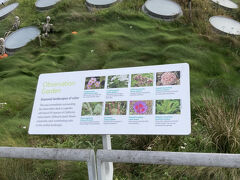 リビングルーフをみたりと。
