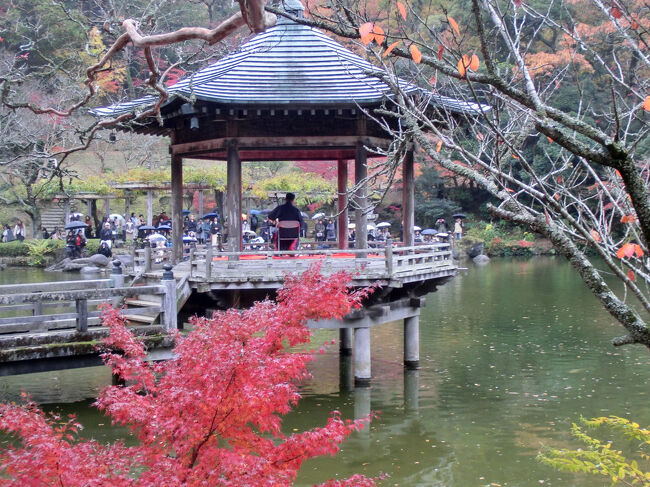 池に浮かぶ「浮御堂（うきみどう）」では、二胡（にこ）の演奏会が行われています。