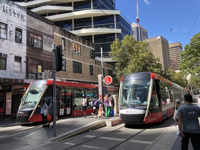 外に出ます。ジョージストリートもライトレールが道路の真ん中走ってると別の街みたいです。<br /><br />市内中心部のメインストリートを何キロにも渡って自動車やバスを排除してライトレール専用道にするってシドニー市の英断は凄いですね！！！！<br /><br />買い物がしたい友人の息子さん達とは此処でお別れです。