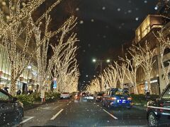 帰りは表参道のイルミネーションを見ながらドライブ
私は見飽きていますが～家族へ一応（笑）

意外に喜んでくれました