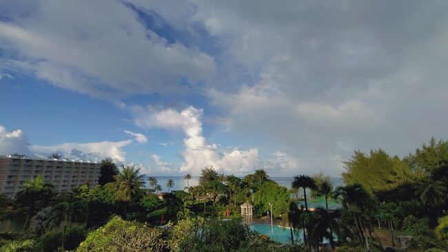 今日も明け方は降ってたけど上がりました。<br />良かったー。<br />ダイビング日和。