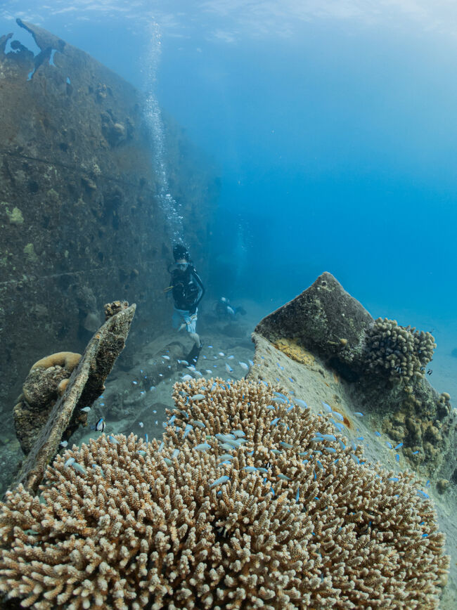 魚も多い！<br />とにかく自由だからあちこち寄り道しまくり。