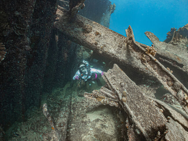 こんな所もくぐってみました。