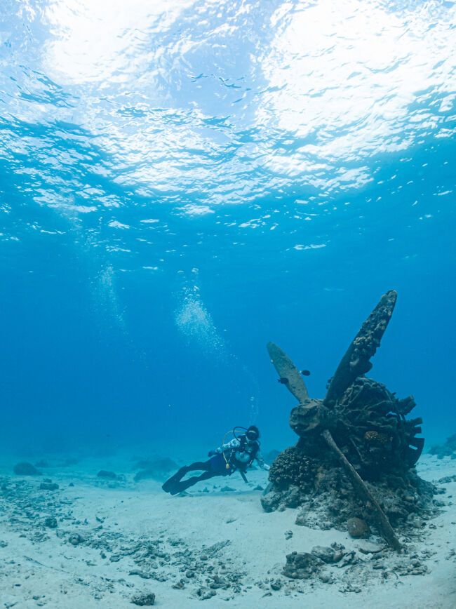 これこれ。<br />これが見たかったの。<br />大型プロペラ。<br />離陸時回っていなかったので羽が曲がらずに残ったそうです。