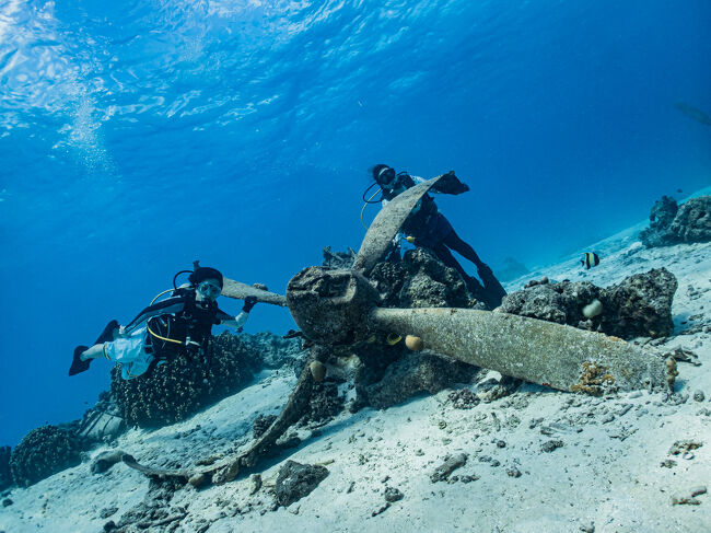 こちらは回転していた方のプロペラ。<br />歪んでます。