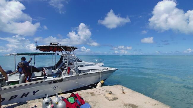 2本ともゆーったりと楽しませて頂きました。<br />何も居ないカリブ海と違ってサンゴあり、戦跡あり、魚もたくさんいて楽しかったなー。<br />やっぱりサイパンのダイビングは最高！