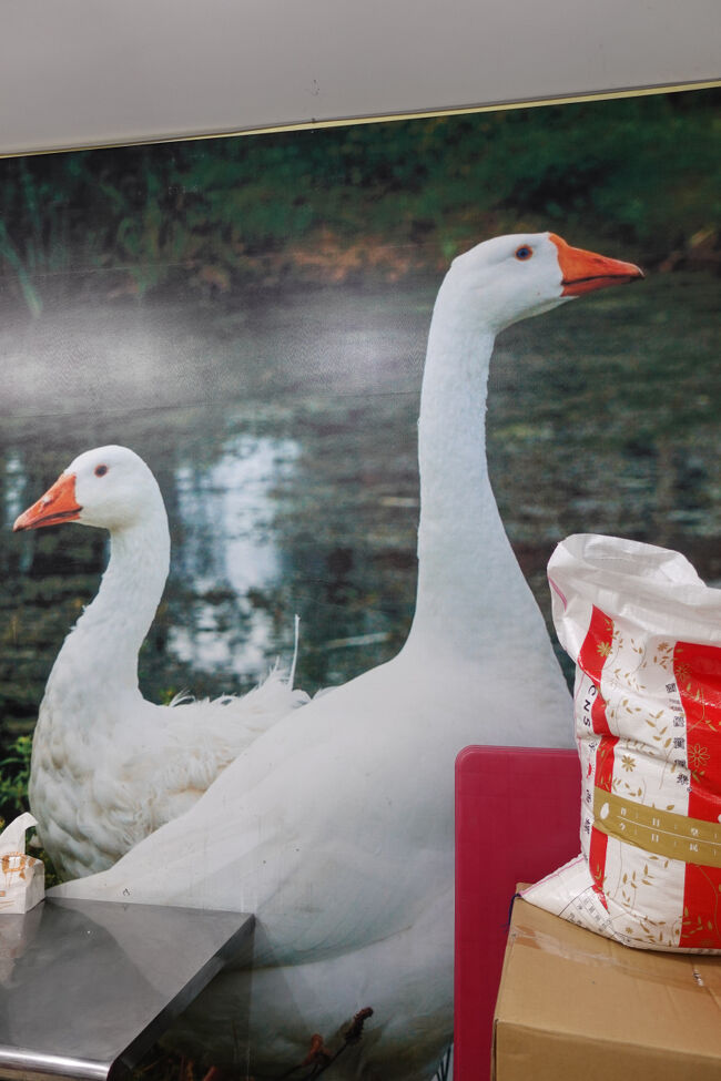 喰うてる途中、1テーブル空いたのに…何故か後客さん、わたしのテーブルで相席…音声付きで動画始まりましたね。落ち着かん…ま、もうすぐ食べ終わりって事で。<br /><br />ガチョウさん達、ごちそうさまでした。<br /><br />