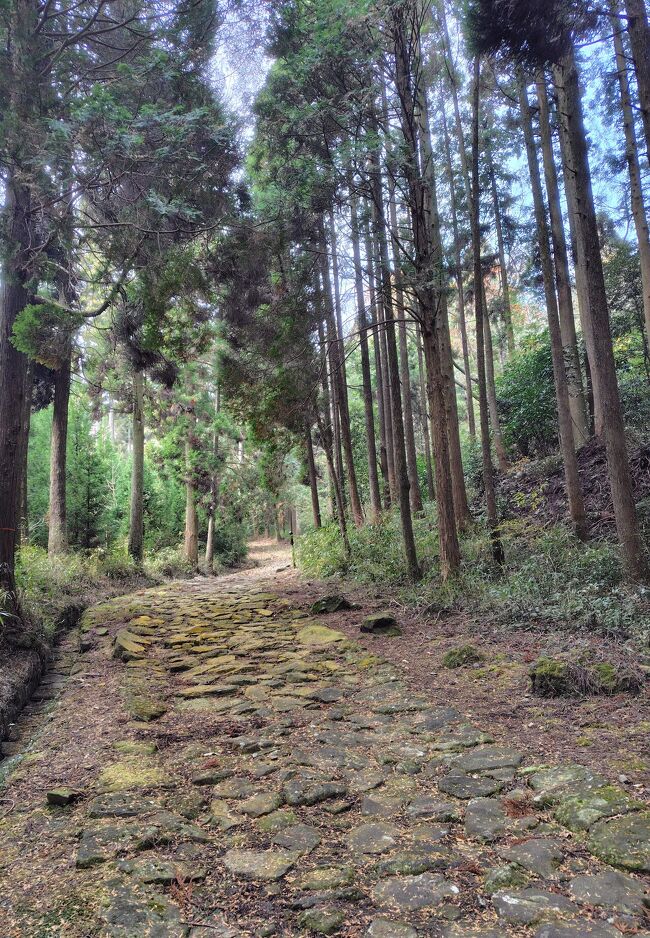 参勤交代の石畳、きちんと並べられた石の上り坂が延々と続いている