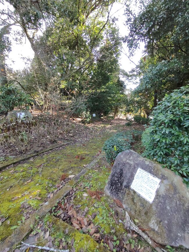 方形周溝墓が点在していた