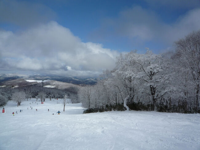 山頂から1000mほど下ってくる広い緩やかで、木々に覆われている気持ちがいい場所。<br />右半分は非圧雪で、表面は硬い。