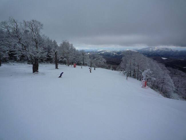 山頂から1/4ほど来た、β900との分岐するところ。<br />遠方に北アルプスを望み、周りの木々は積もって凍った木々が、白い花を咲かせているようでとてもきれいです。