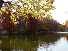 所要のついでに、石神井公園の紅葉も見てきた。
