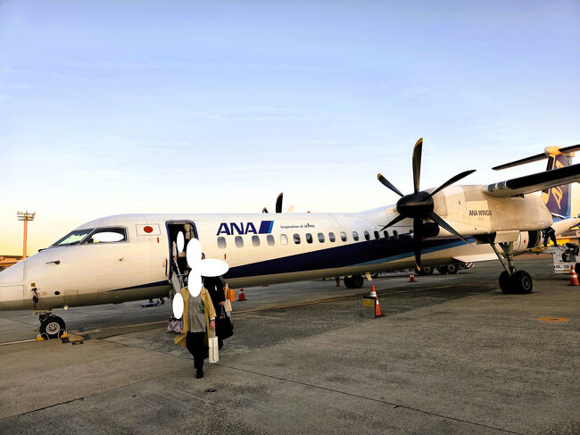 阿蘇くまモン空港を満喫し、伊丹へと向かいます。