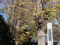 9:24　玉蔵院到着
逗子駅に着いて、大急ぎで9:05発のバスに滑り込みしたので、撮影はここから（笑）