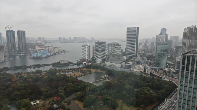 翌朝カーテンを開けたら、今にも雨が降り出しそうな曇り空です。