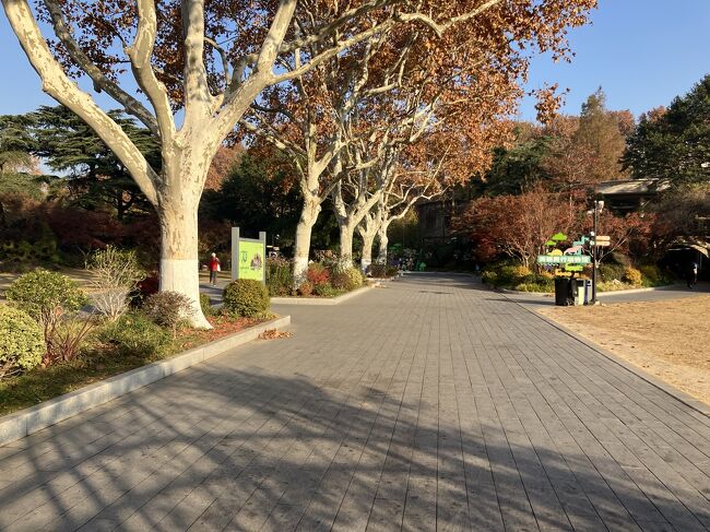 園内は広くて朝なのであまり人に合わない。でも全然いないわけじゃない。あまり時間がないので奥に行く。