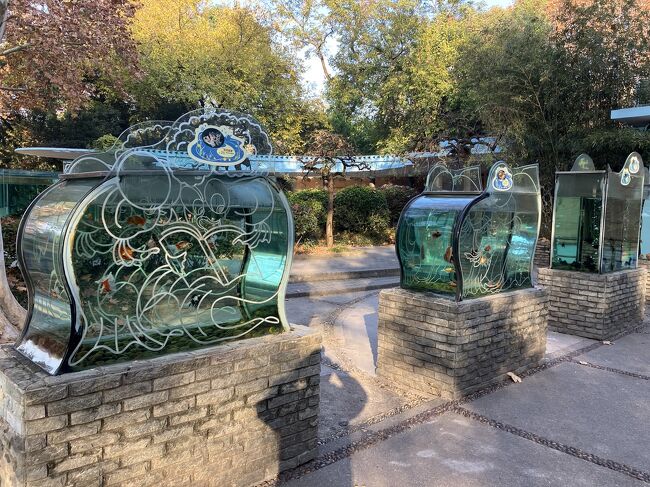 途中で屋外の金魚展示を見る。屋外の水槽が大胆でいい。