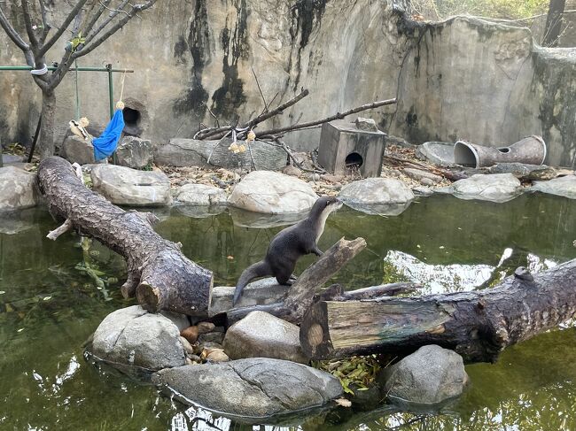 なんかシュッてしてる。