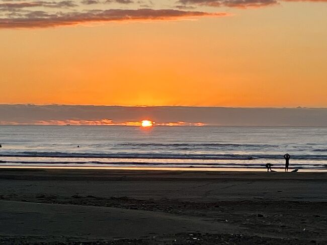 サーフィンや投げ釣りを楽しむ人々