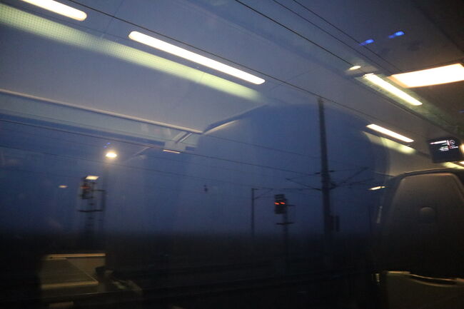 外は凄い霧です<br />前見えるのかなと心配になる