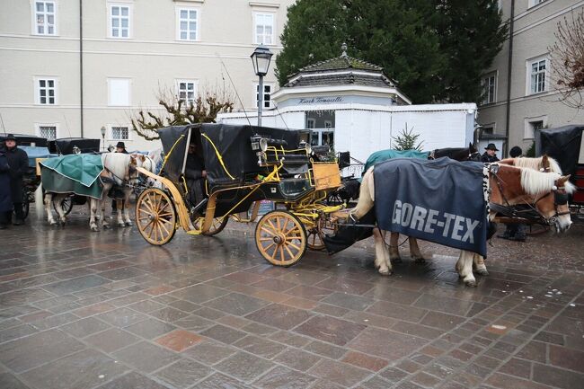 寒い中おとなしく待機しています